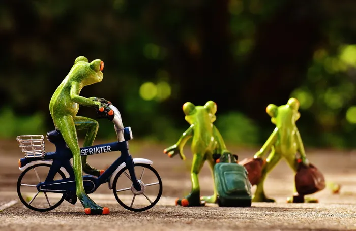 三只树蛙，青蛙，再见，自行车，手推车，旅行，可爱，青蛙