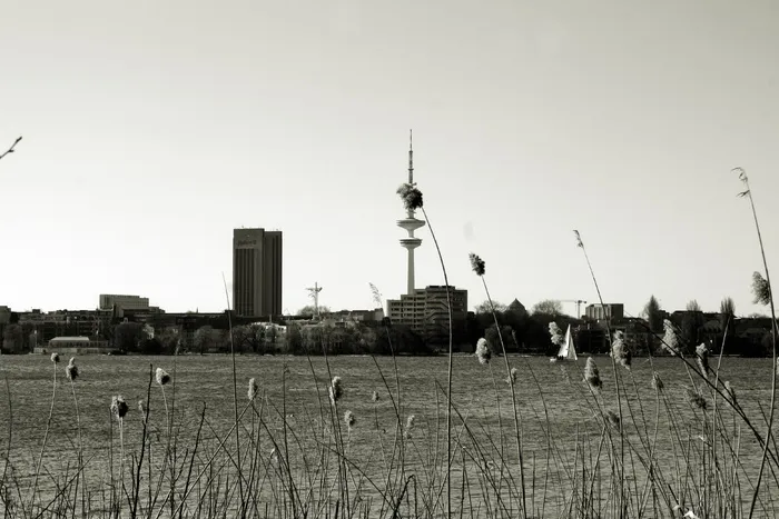 阿尔斯特, 汉堡, 汉堡汉萨城, hamburgensien, 在公园里散步, 米歇尔, 黑白摄影, b w