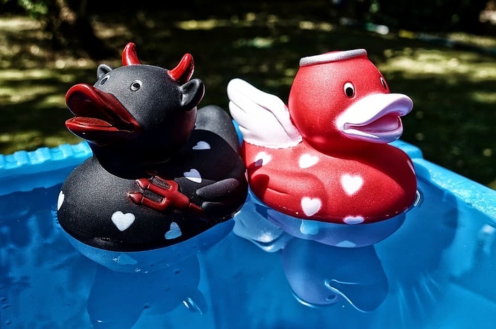 quietscheenten魔鬼天使对立面鸭子橡胶可爱代表