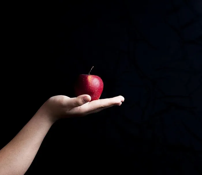 红色，苹果水果，人，手掌，红苹果，水果，苹果，手
