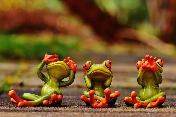 三只绿色的青蛙，青蛙，不看，不听，不说话，滑稽，可爱，数字