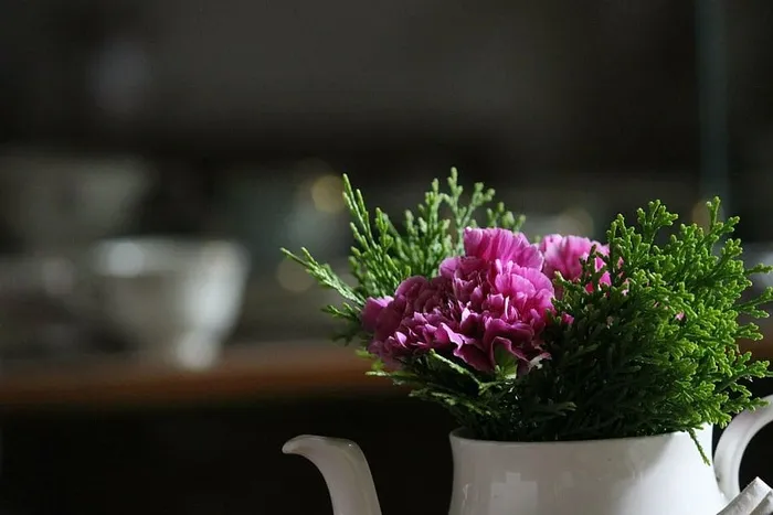 花朵，花朵，陶瓷，植物，花朵，茶壶，花朵，花束