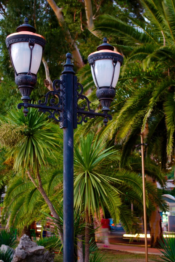 灯笼, 棕榈树, 景观, 树, 照明设备, 棕榈树, 热带气候, 路灯