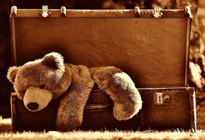棕色，泰迪，熊，行李，古董，乌贼，软玩具，填充动物