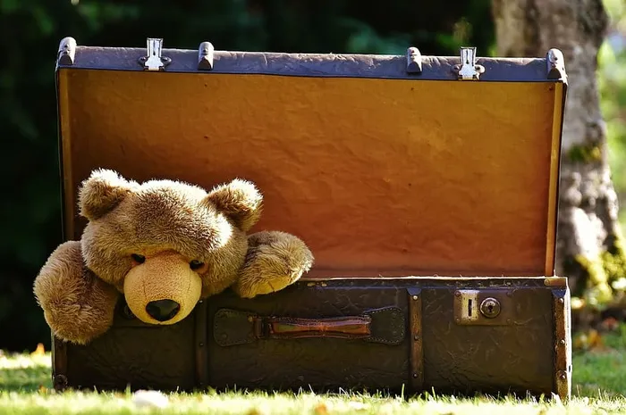 泰迪，熊，里面，棕色，箱子，行李，古董，软玩具