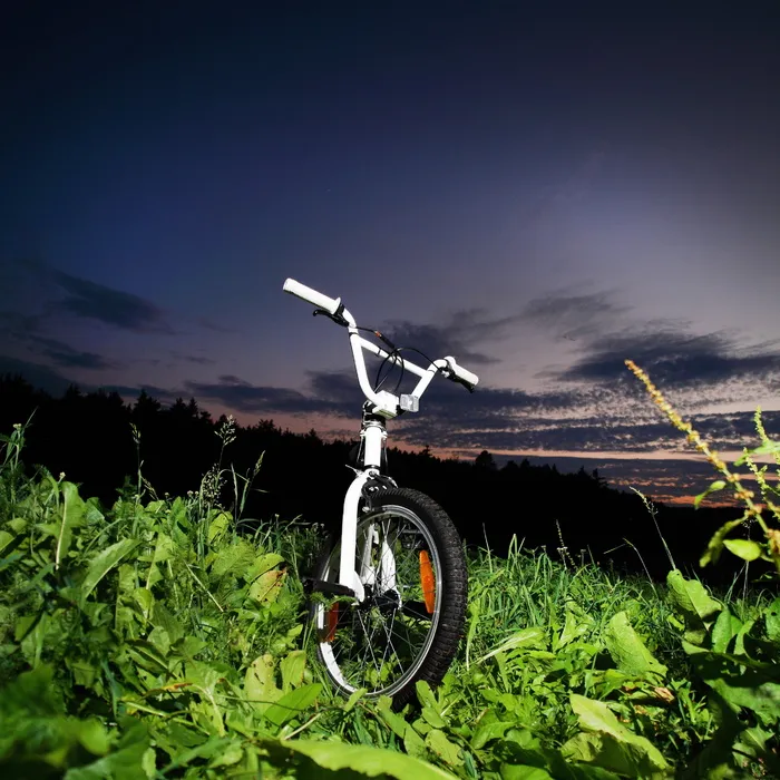 bmx，摩托车手，自行车，车轮，自行车手，运动，自行车旅行，森林