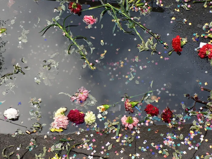 五颜六色花瓣的花朵漂浮在水面上的照片