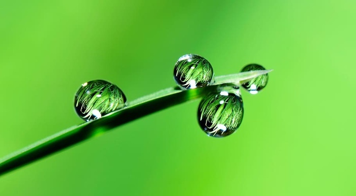 微距摄影 水滴 水 水滴 草 雨 自然 潮湿 菜鸟图库
