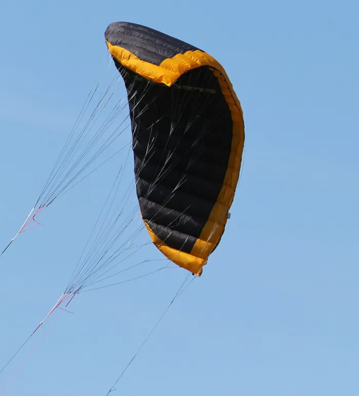 风筝，飞龙，苍蝇，挡风玻璃，飞龙，苍蝇，操纵风筝航行，飞行，极限运动