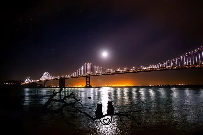 缆索桥，夜晚，旧金山，奥克兰，海湾大桥，水，反射，月亮