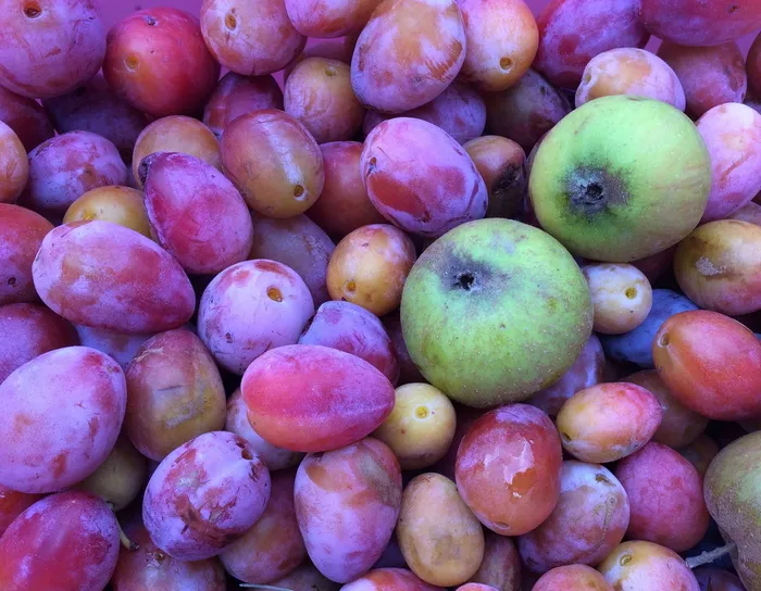 水果、李子、苹果、水果、樱桃、粉色、紫色、绿色