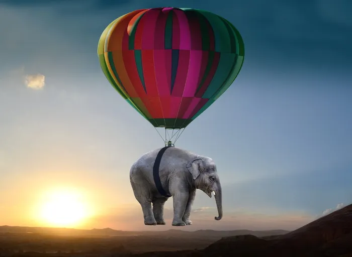 大象气球照片，大象，日落，草原，气球，失重，放松，厚皮动物