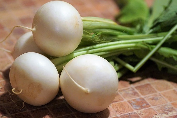 白根作物白萝卜萝卜蔬菜根花园食品