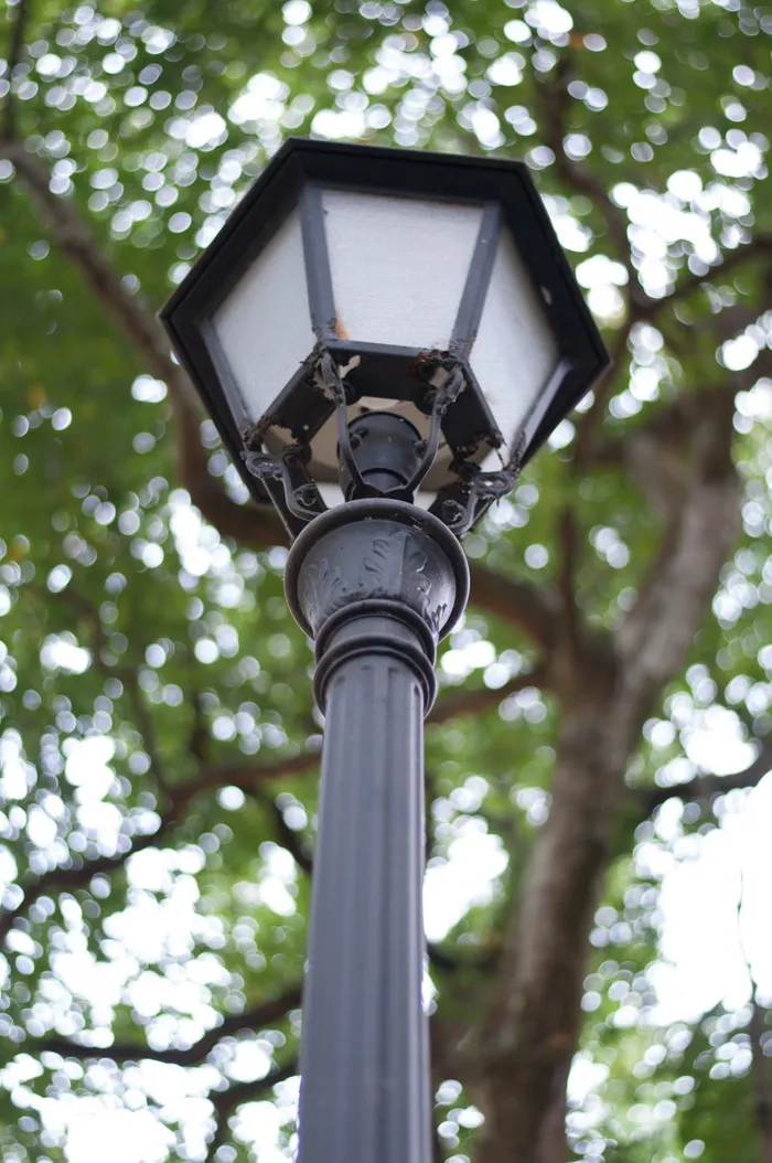 新加坡，灯具，路灯，灯柱，保险箱，灯具，低角度视图，照明设备