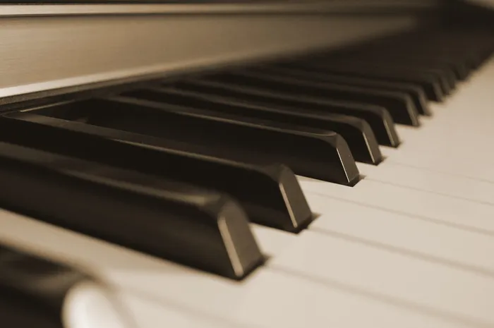 黑色，白色，键盘键，钢琴，键，音乐，钢琴键，钢琴键盘