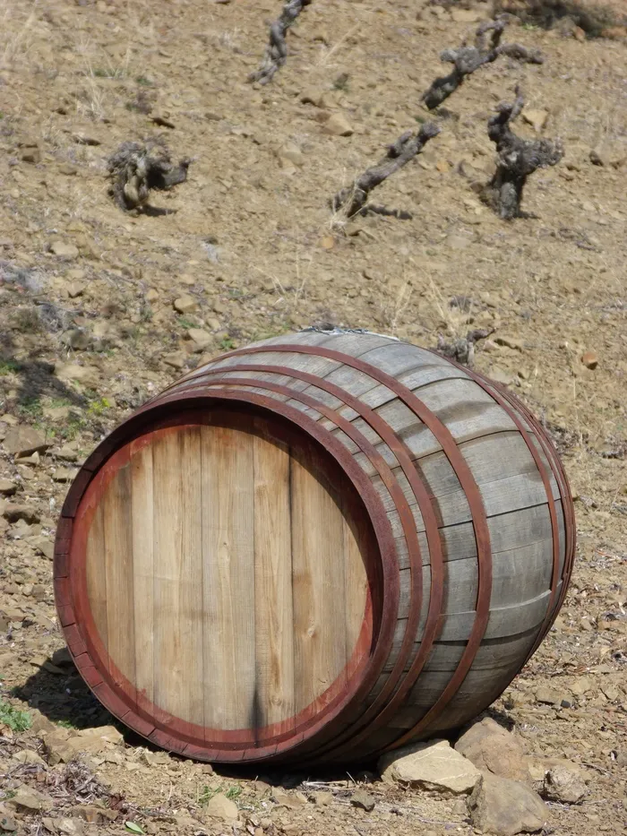 木桶，葡萄园，葡萄栽培，葡萄酒，木桶，土地，木材，圆筒