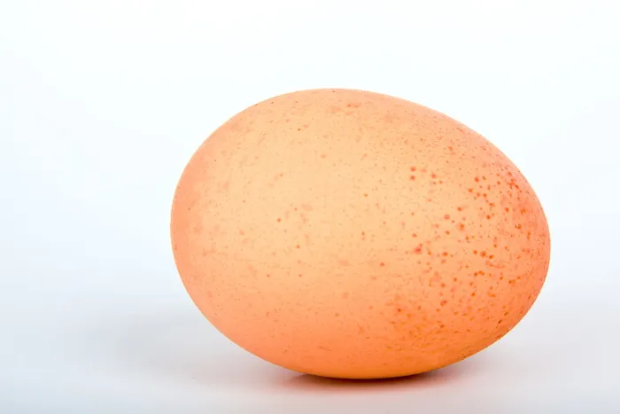 橙色鸡蛋模型，鸡蛋，白，本色，食品，新鲜，分离，鸡蛋，白
