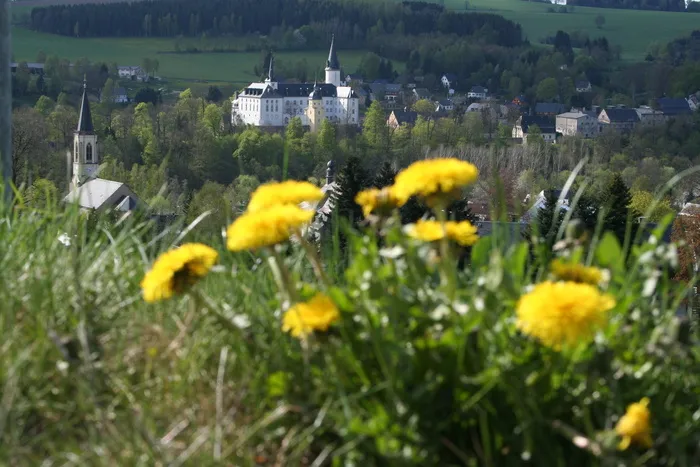 neuhausen，矿石山，城堡，pursche石头，景观，植物，花，黄色