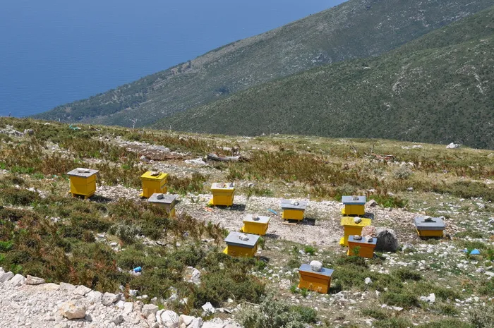 阿尔巴尼亚，蜂箱，养蜂业，欧洲，户外，传统，巴尔干半岛，山脉