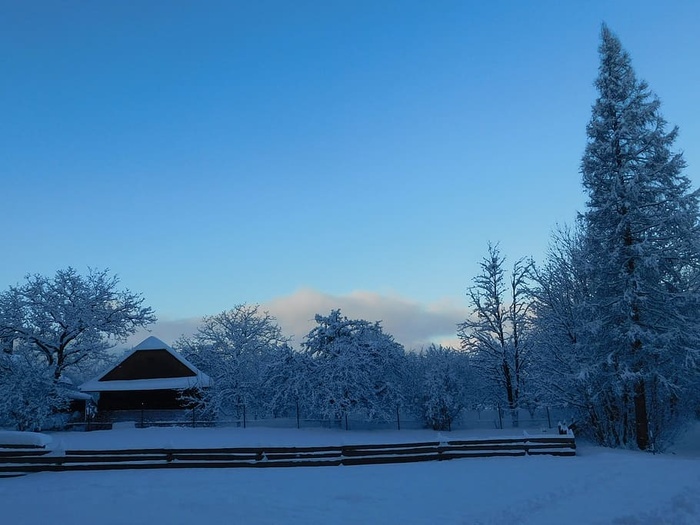 冬天下雪风景雪霜树山结冰