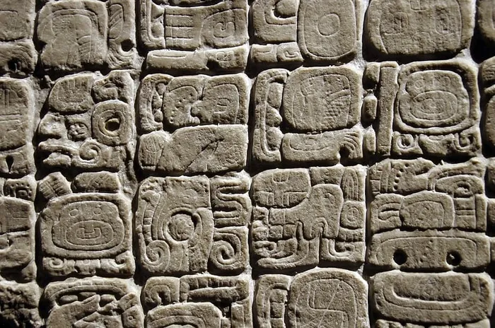 巴斯浮雕石，墨西哥，人类学博物馆，雕文，玛雅，文字，哥伦比亚，中美洲