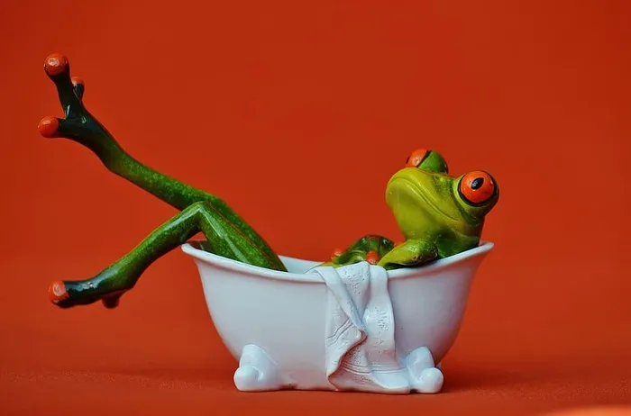 浴缸里的青蛙，青蛙，洗澡，游泳，放松，放松，有趣，身体护理