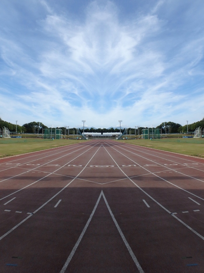 竞技场,运动,锻炼,公园,田径,跑道,运动,运动跑道