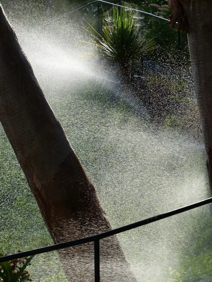 灌溉，自动喷水灭火器，自动喷水灭火系统，灌溉，自动喷水灭火器，水，湿，植物，滴水