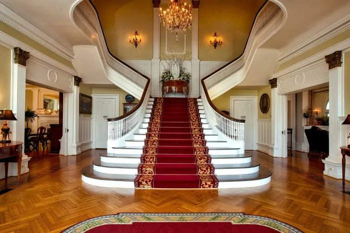 红棕色印花楼梯地毯
