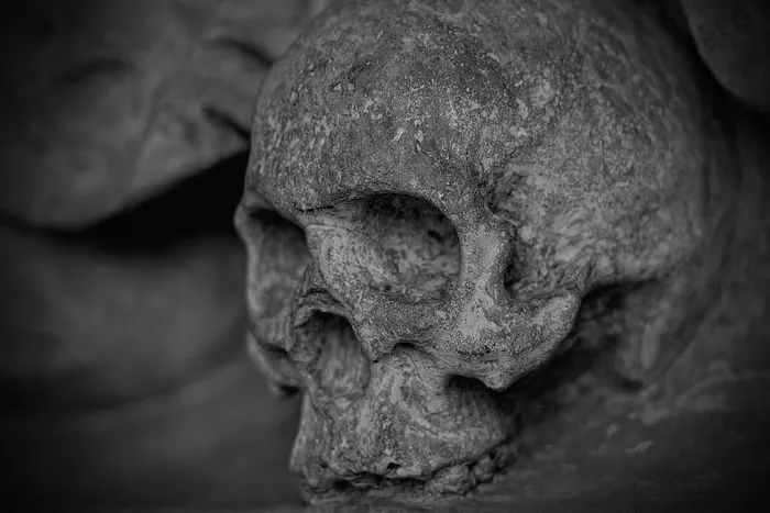 人类，头骨灰度照片，头骨和交叉骨，头骨，死人，骷髅，凡人，石头