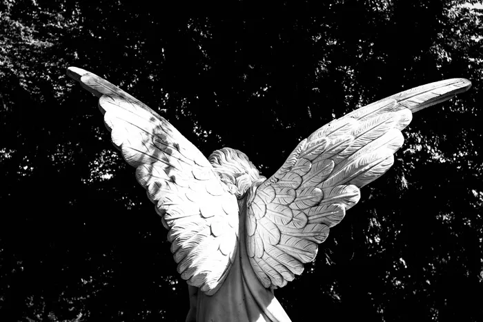 灰阶摄影，女性，天使雕像，天使，翅膀，天使翅膀，上帝，宗教