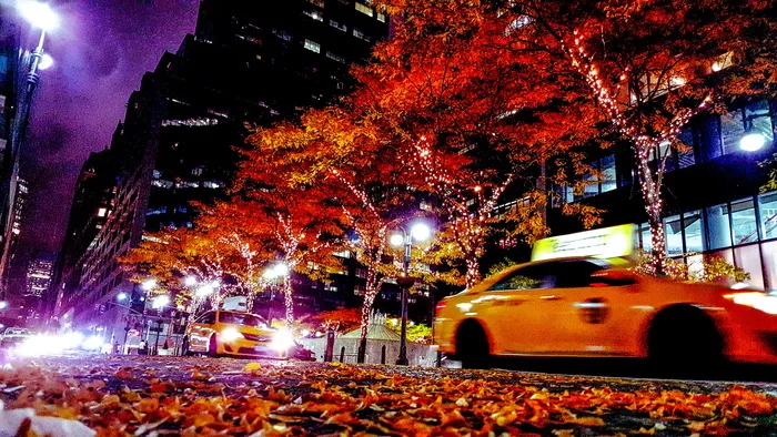 美国, 纽约, 曼哈顿, 照明, 夜, 交通方式, 树, 汽车