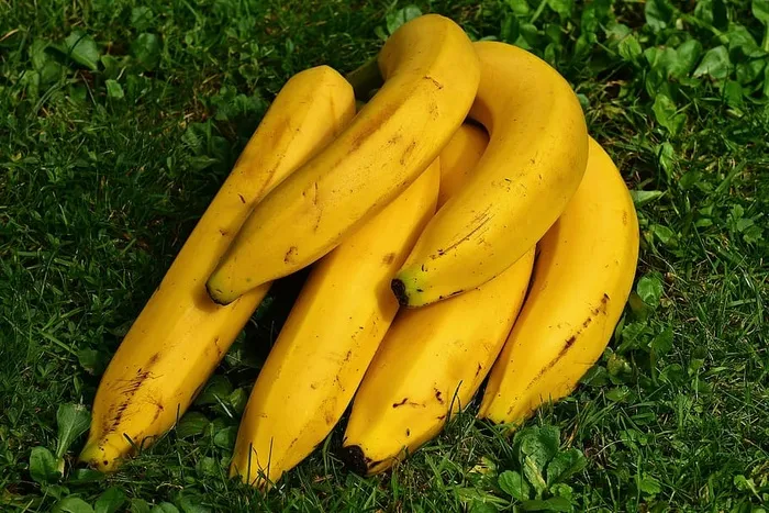 香蕉，绿色，田野，水果，水果，健康，黄色，香蕉皮