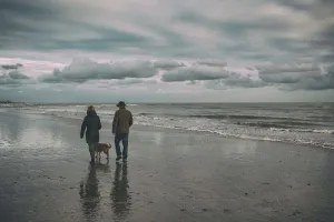 英国东萨塞克斯郡的坎伯沙滩上，一对夫妇在冬天遛狗