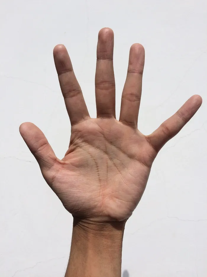 左侧人类手掌，手掌，手，手指，漂白，看手掌，年轻，日语