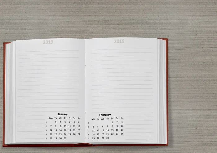 日历，书籍，2019年，日期，1月，2月，周，月