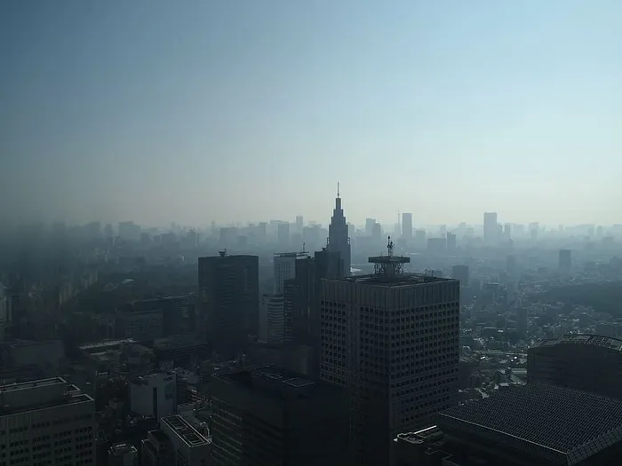 高层建筑，东京，早晨，新宿，雾霾，高层建筑，建筑，天际线