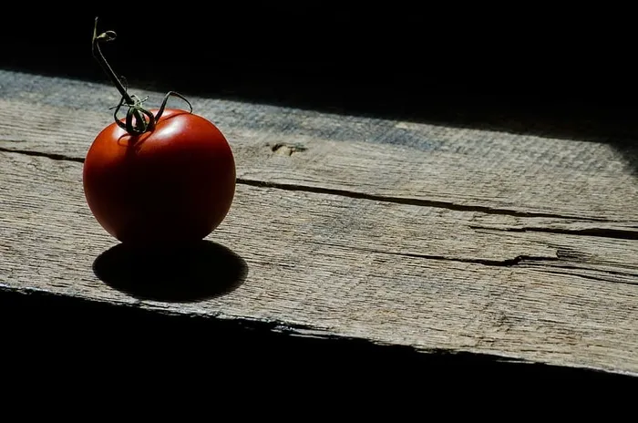 孤独的樱桃番茄