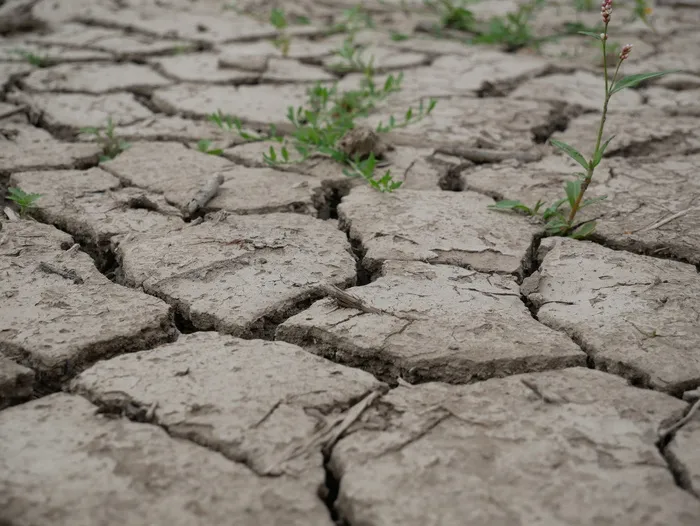 土壤、裂缝、粘土、脱水、干旱、质地、粘土、缺雨