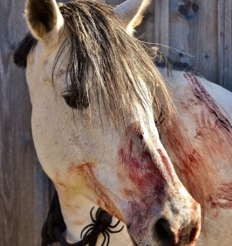 万圣节血腥艺术血恐怖马小马霉菌血