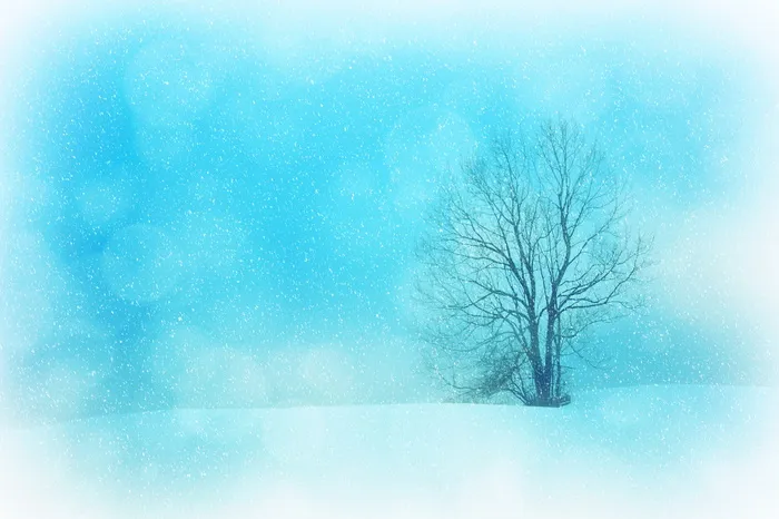 孤独的树，纹理，背景，冬天，冬天，雪，雪花，树
