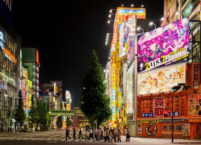 人，树，广告牌，东京，日本，日本街，夜晚，东京，日本