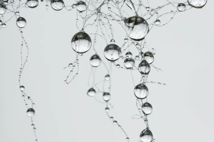 水泡，水滴，网络，突触，珍珠，灰色，雨滴，别墅