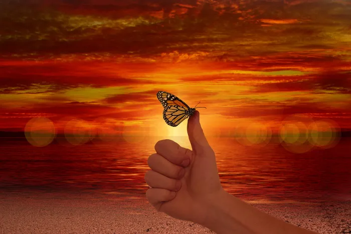 蝴蝶，人，拇指，喜欢，放松，健康，情感，高