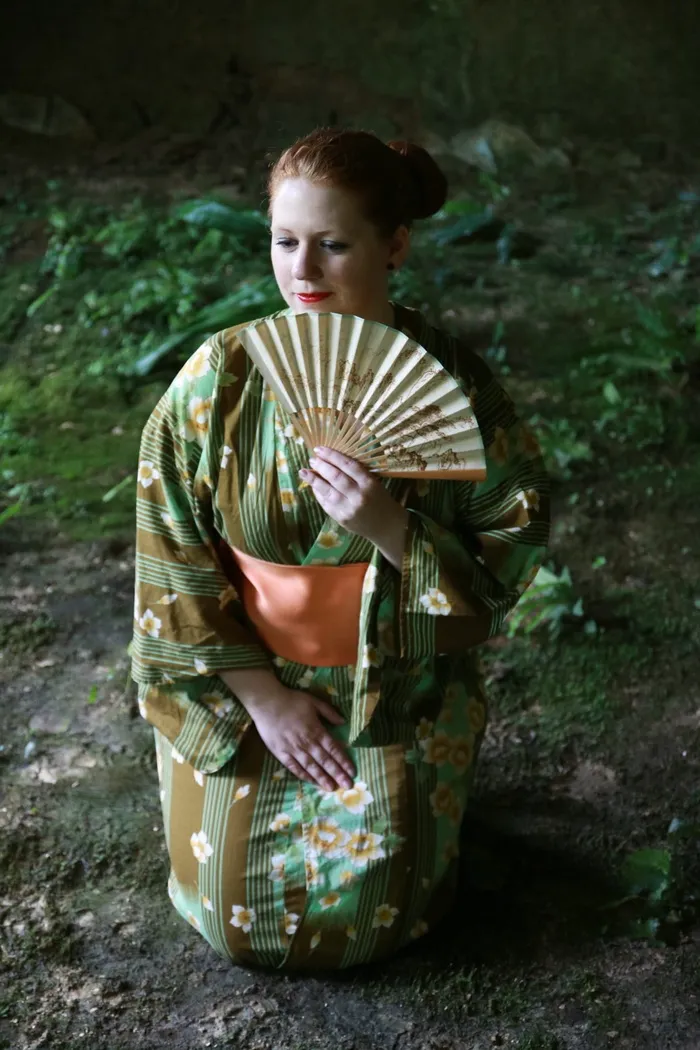 日本，女人，艺妓回忆录，日本人，和服，艺术，一个人，童年