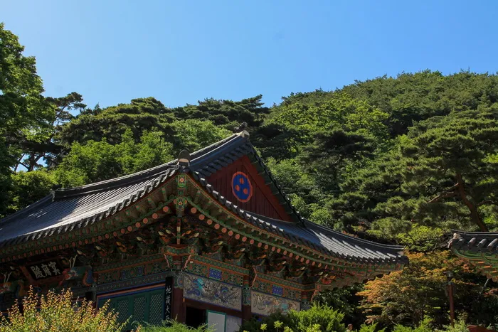 城堡，韩国，传统，墙壁，古代，建筑，韩国，韩国