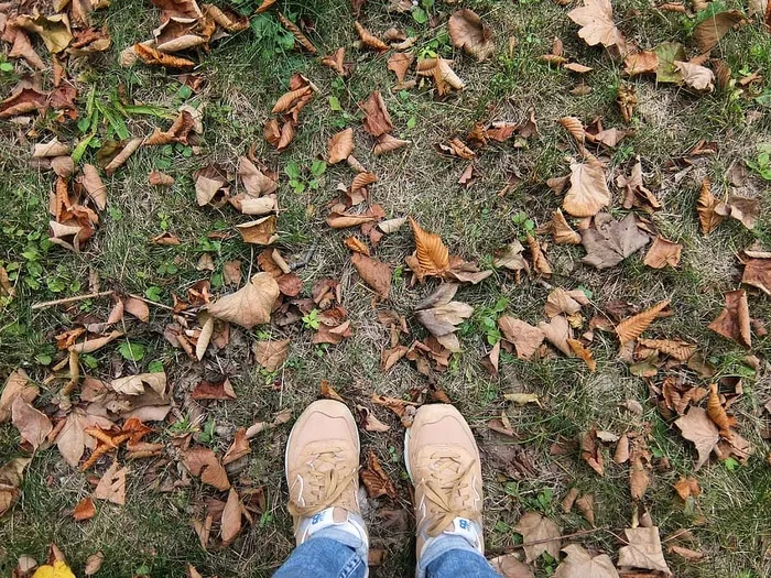 落叶，秋天，树叶，地面，脚，鞋子，秋天，鞋带