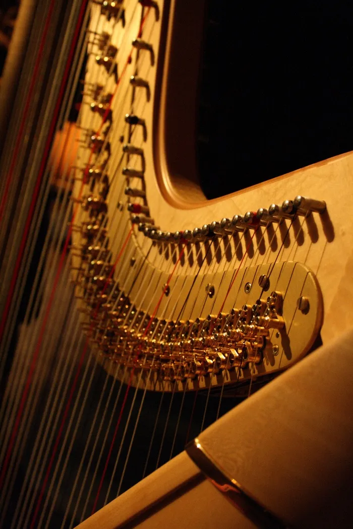 竖琴, 音乐, 乐器, 音乐设备, 弦乐器, 艺术文化和娱乐, 乐器弦, 在室内