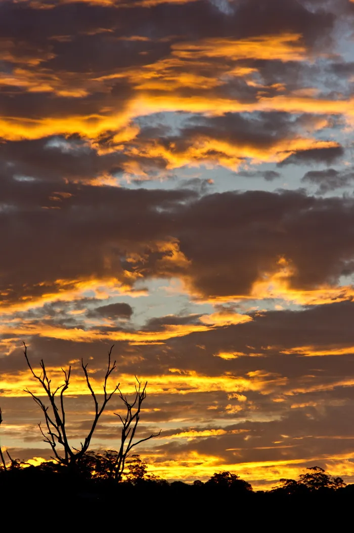 日落，云，橙色，金色，天空，灰色，戏剧性，澳大利亚