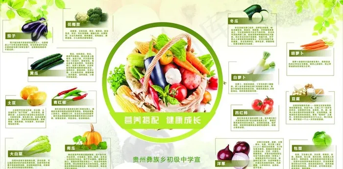 蔬菜宣传 营养答配图片